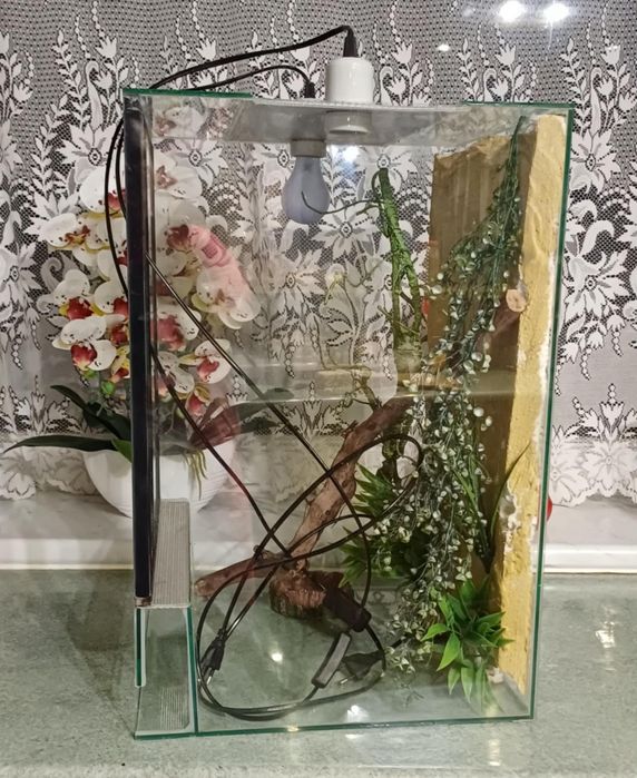 Terrarium   duże