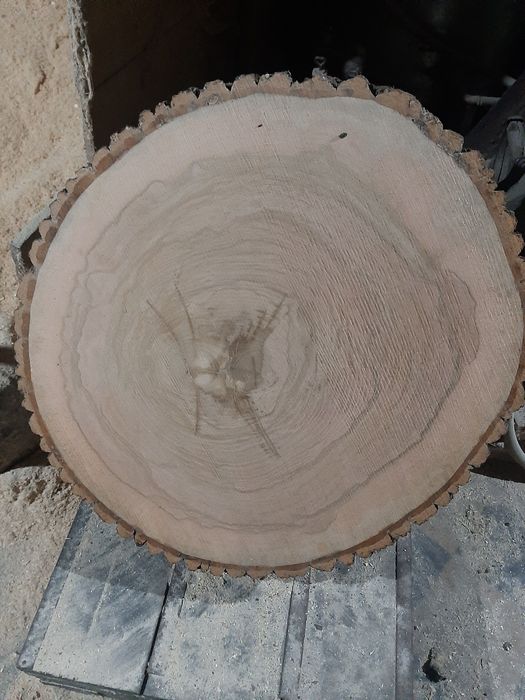 Plaster plastry drewna  stół dąb jesion topola świerk  od 5 do 100 cm