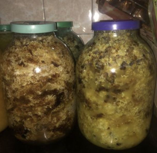 забрус 2025 срез с сот с медом