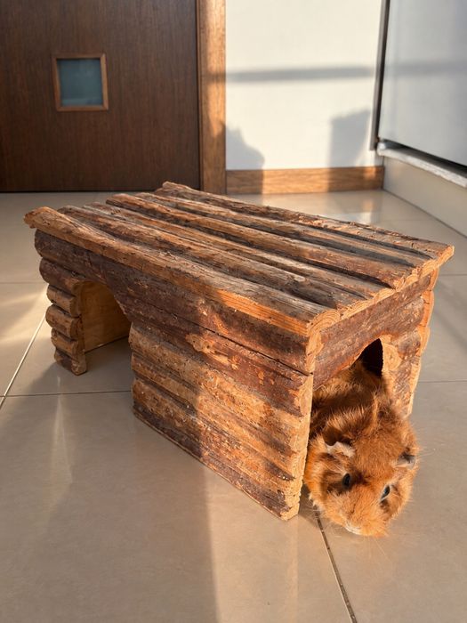 Abrigos e plataformas para roedores