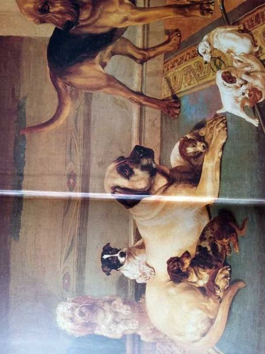 Dog Painting 1840r-1940:rA Social History of the Dog in Art William Se