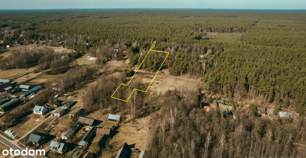 Wyjątkowa działka 8900 m² z własnym lasem w Bojanach, gmina Brok