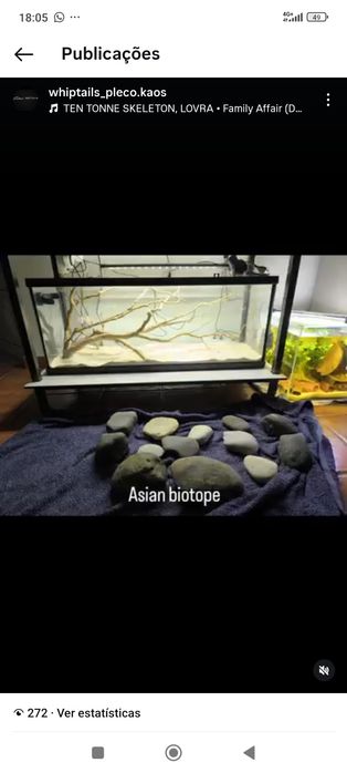 Aquário 120 litros+ oferta luz