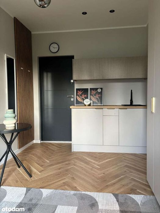 Kawalerka po generalnym remoncie (Umeblowana z najemca)