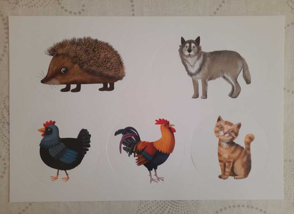 Pobawmy się razem - inscenizacje 4 latki - 12 plansz A3 w dużej teczce