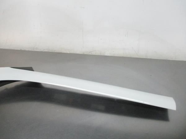 Friso / Frisos RENAULT Scénic III (JZ0/1_)
