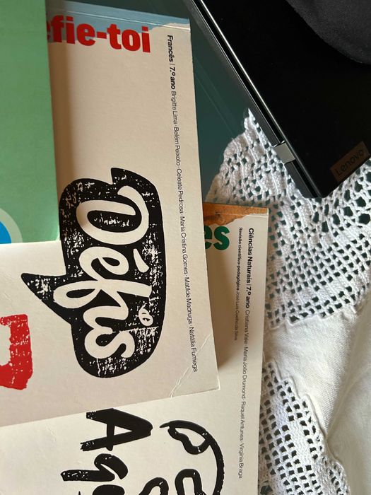 Livros de fichas 7 ano história, francês e CNA (valor unitario)