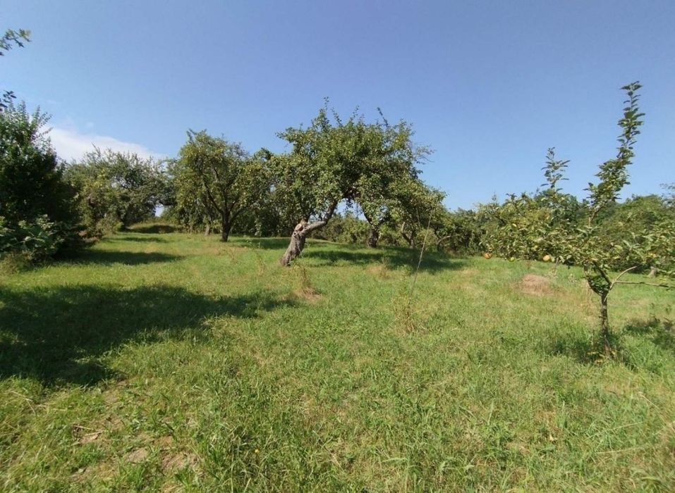 Продаю Землю. Продаж