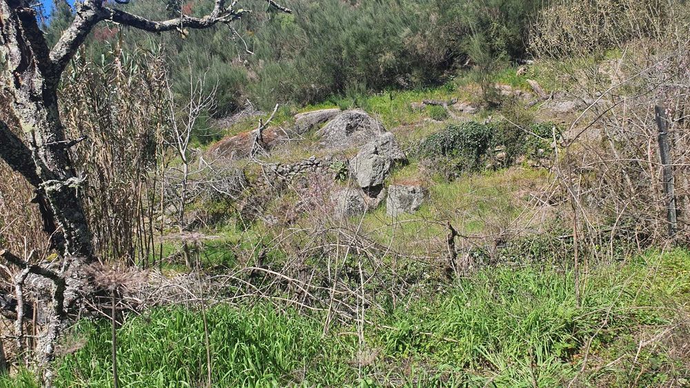 Propriedade com 4ha com Casas, Água, Vista e Muito Acolhedora