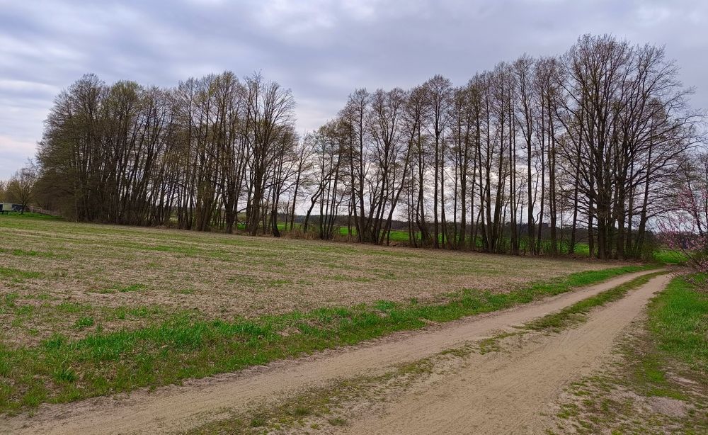 Działka budowlana 3275 m² | blisko Warty | strumyk | Mierzyn - Ansicht 4