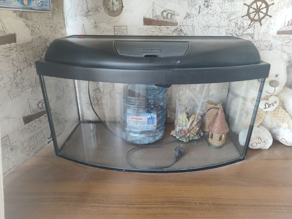 Акваріум з підсвічуванням