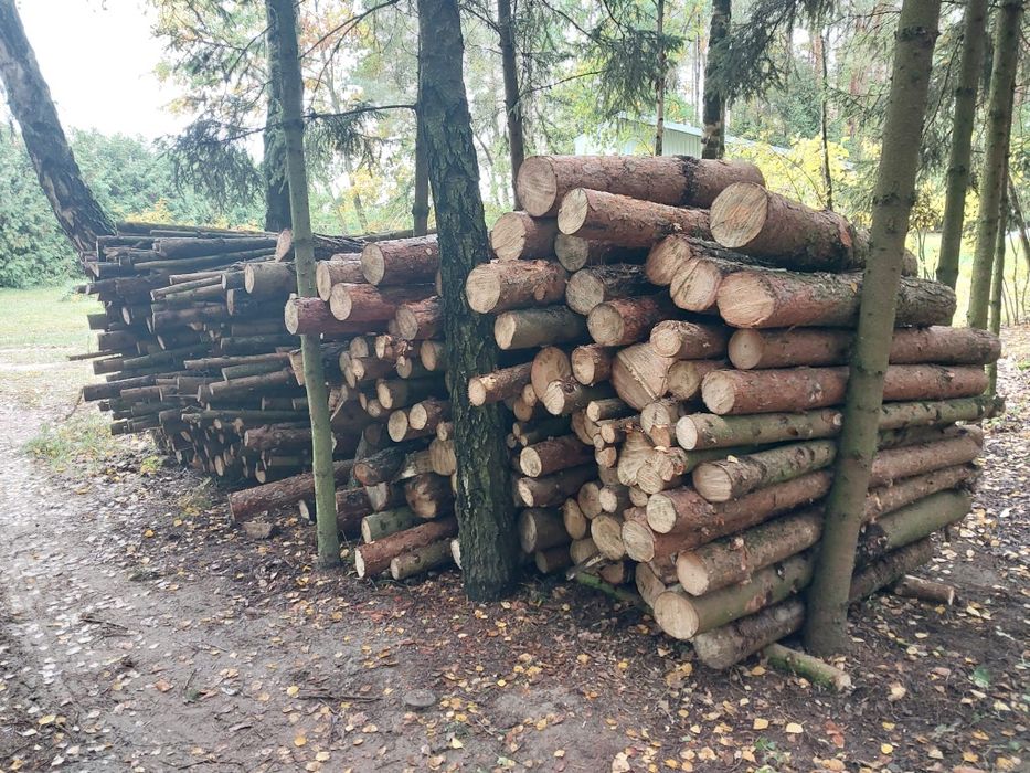 Drewno opałowe - sosna, świerk