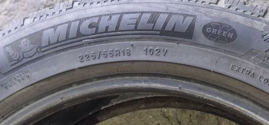 Шини Michelin Pilot Alpin 225/55 R18 пара