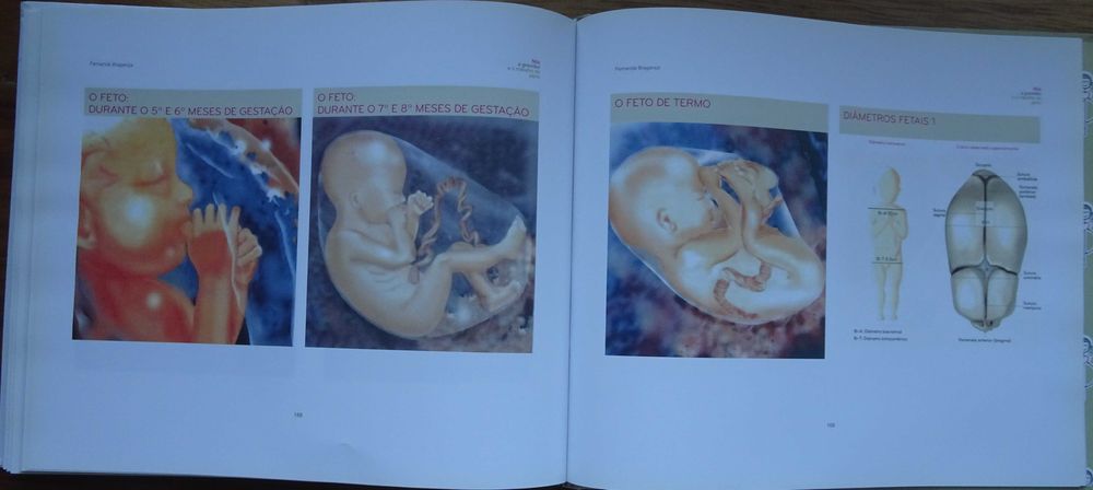 Nós A Gravidez e O Trabalho de Parto