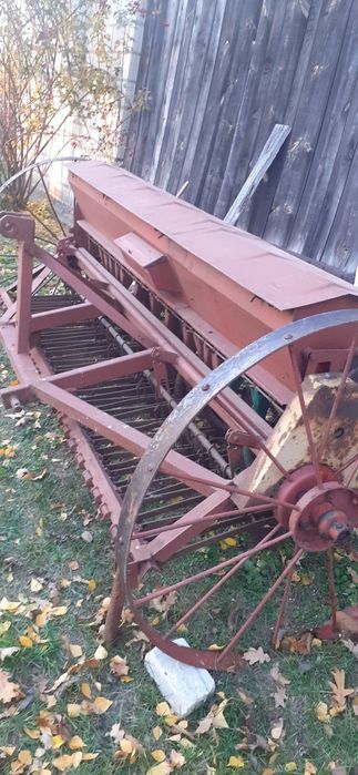 Sprzedam owies tegoroczny