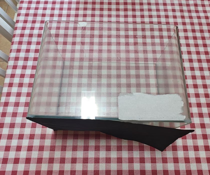 Aquário de Vidro (30x18x21 cm) – Ideal para Peixes, Camarões ou Decoração