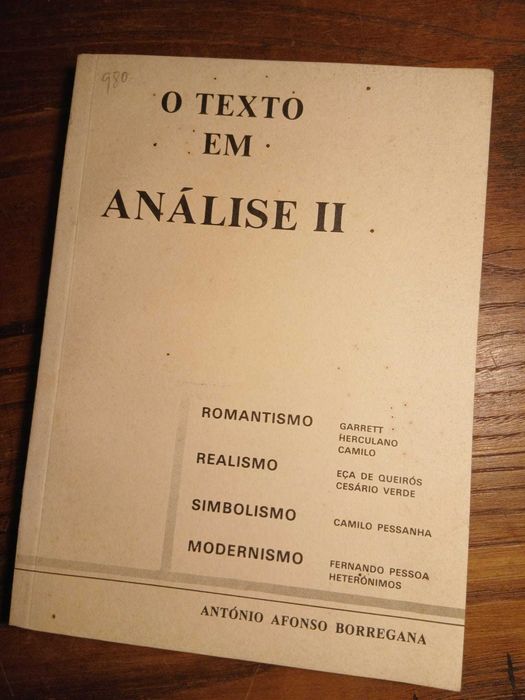 António Affonso Borregana, O texto em Análise II