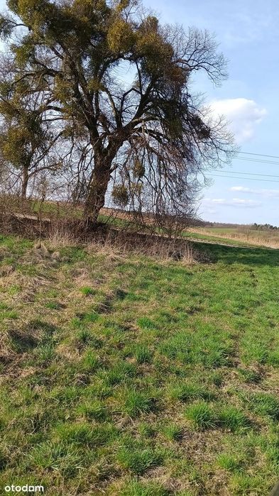 Działka budowlana/siedliskowa z prawem zabudowy, dostęp do mediów - Widok 5