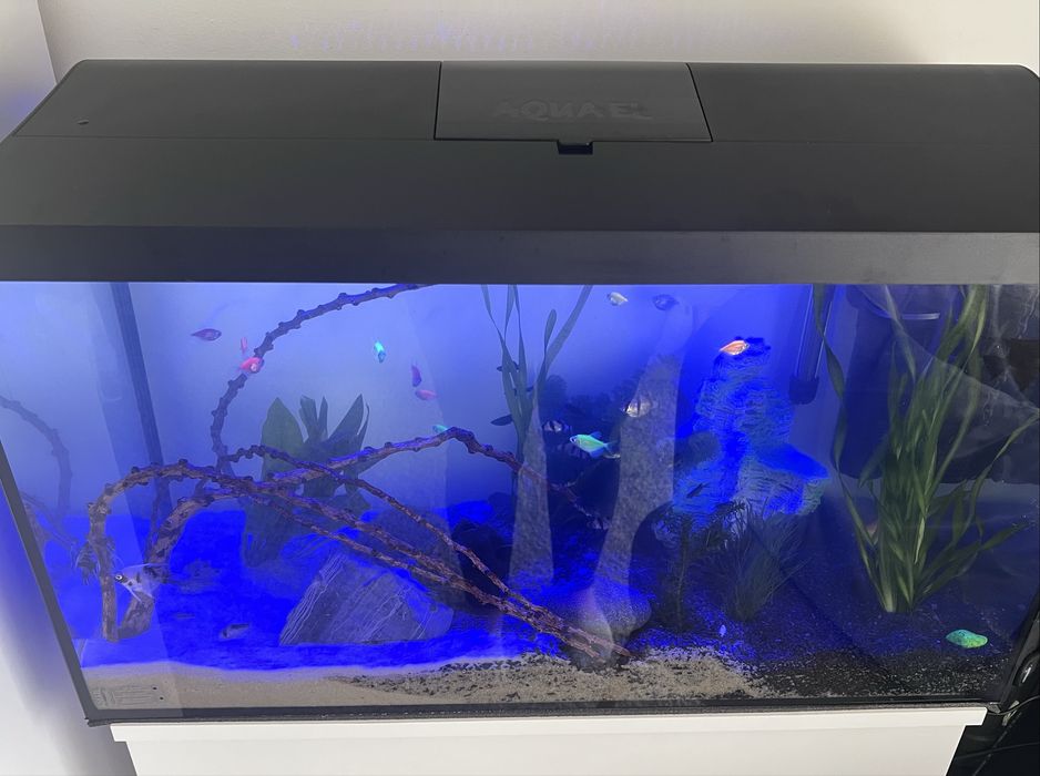 Akwarium Aquael 105l