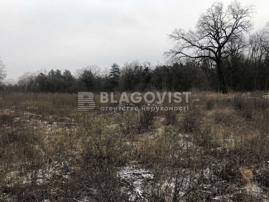 Продаж земельної ділянки 63 сотки під забудову Сирець Тираспільська - View 6
