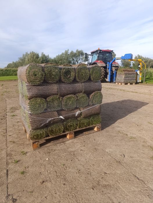 Trawa z rolki/Producent/Transport
