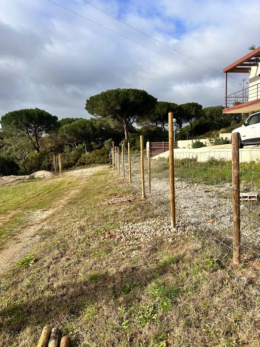 Limpeza de terrenos cortes e podas de árvores.