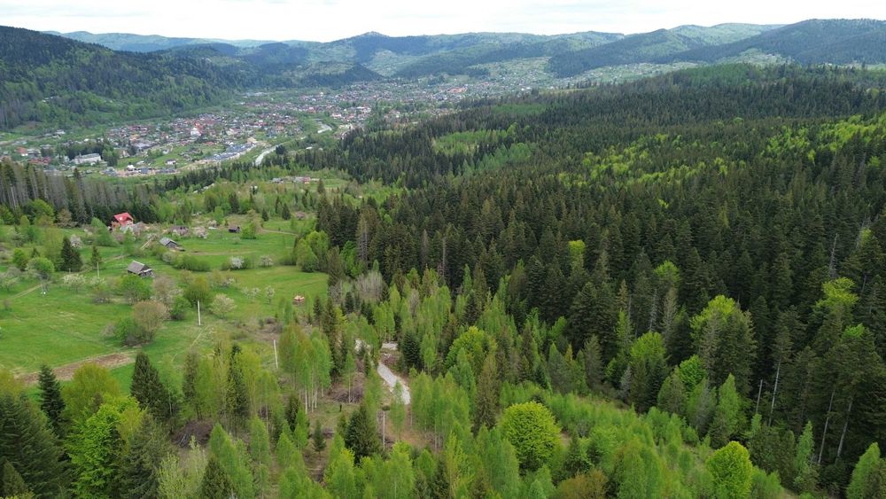 Ділянка в Карпатах Микуличин, земля в горах, земля в горах біля потічка, Ділянка в лісі, Ділянка в Микуличині