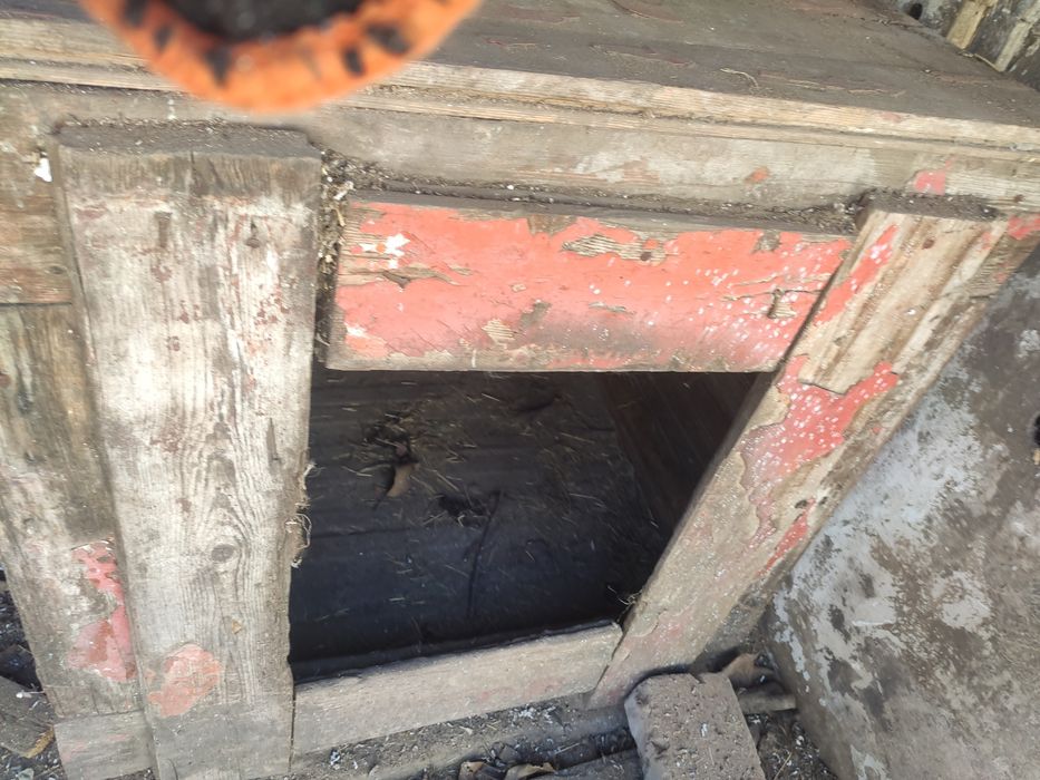 Огромная будка для собак