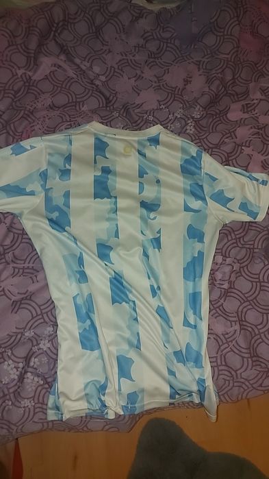 Koszulka piłkarska argentyny