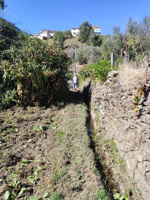 Terreno Pequeno Silvares