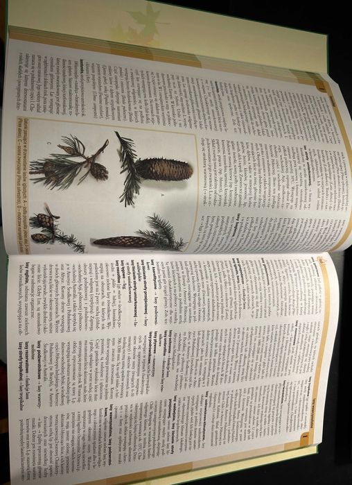Ilustrowana encyklopedia Ekologia