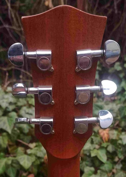 Gitara akustyczna BG Canyon