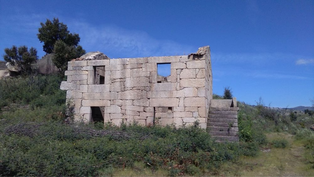 Arrenda-se Quinta Exclusiva 25ha | 1km margem de Rio Mondego