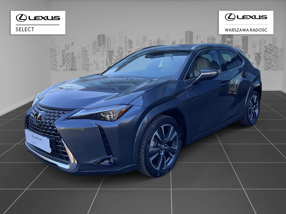 Lexus UX 300H Omotenashi, VAT23