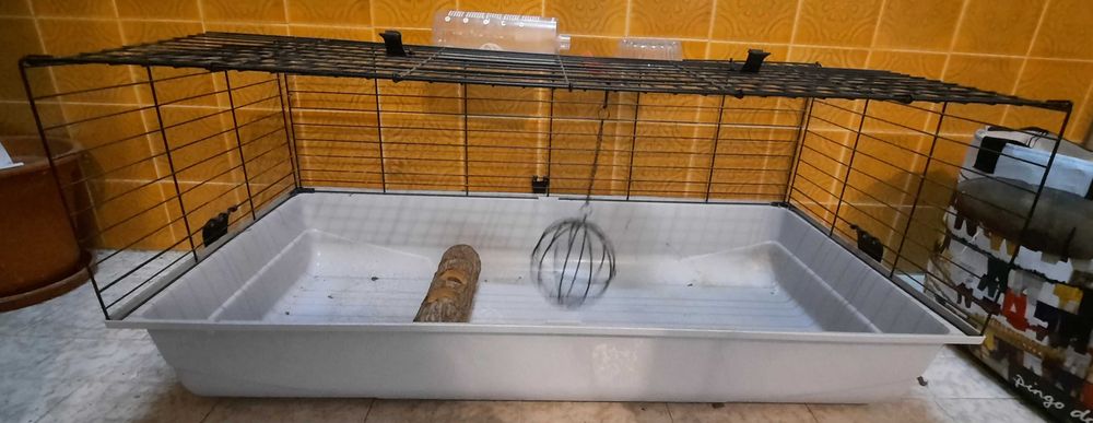 Gaiola de roedores com acessórios
