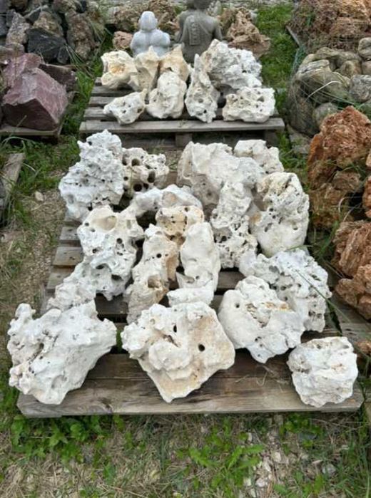 WAPIEŃ FILIPIŃSKI Skała Wapienna Kamień Naturalny Akwarium Terrarium