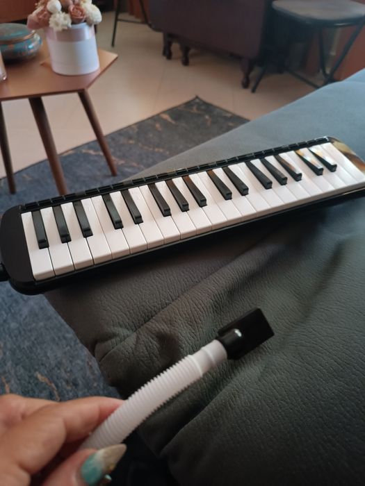 Instrumento musical melódica