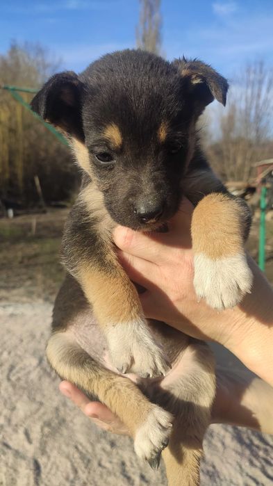Малечі дуже потрібні родини та дім!