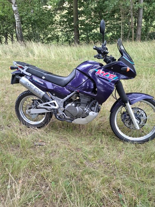 Kawasaki KLE 500