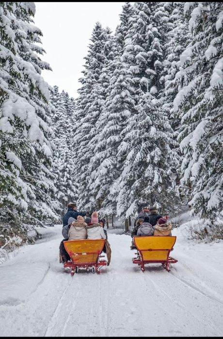 Kuligi z pochodniami