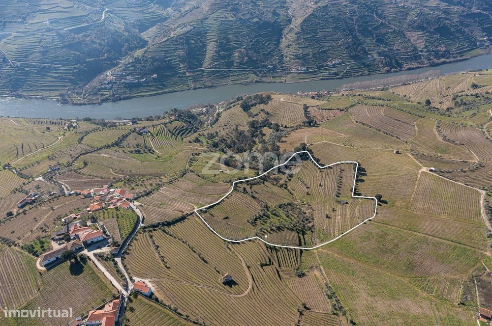 Quinta na Régua para produção vinícola