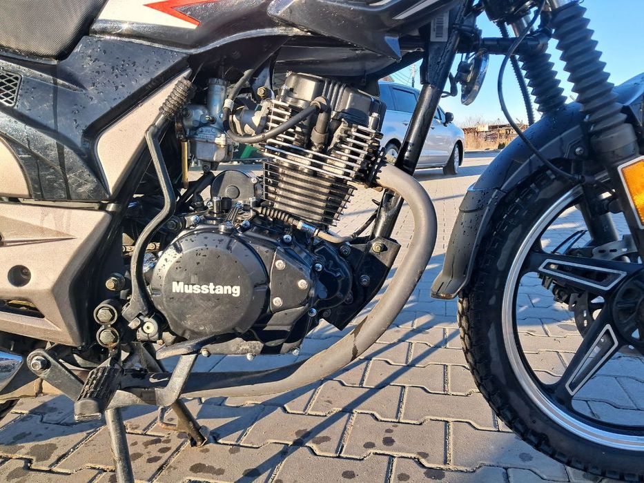 Musstang region mt 200-8