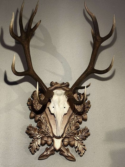 Підставка під роги,ікла, чи інший трофей( медальйон)