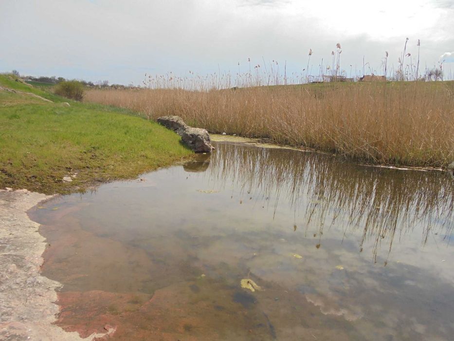 Предоставлю жильё бесплатно.