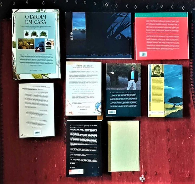 Livros - Romances e Outros Temas