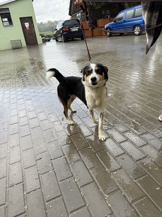 Pokochaj cudowną Tenę