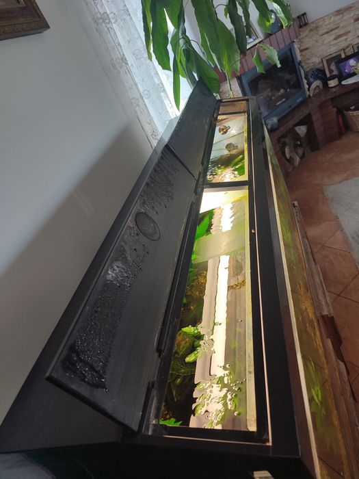 Akwarium 240 l z szafką