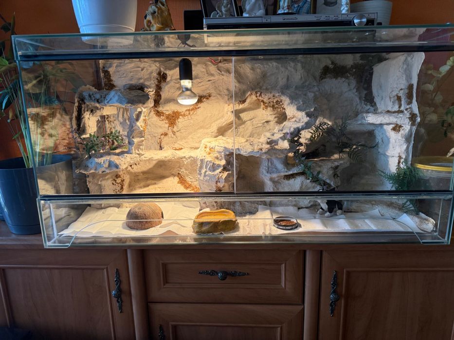 Terrarium pustynne