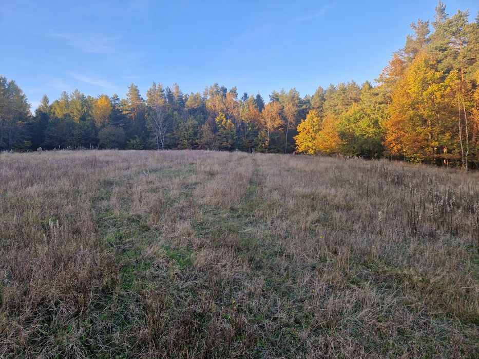 Dzałka, Siedlisko, Żwirownia, Siedlisko, Gospodarstwo,  Stadnina