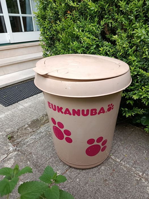 Caixa Eukanuba comida se cao